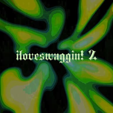 iloveswaggin! 2