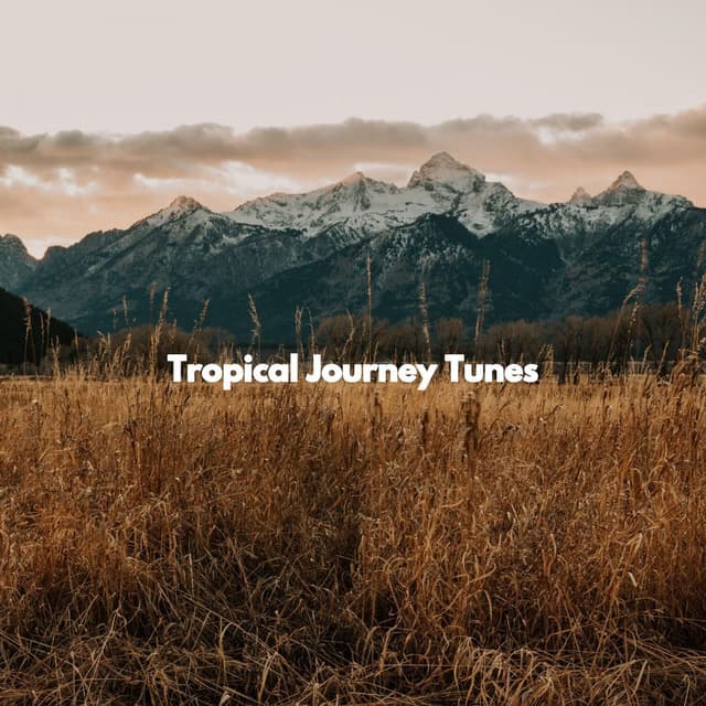 Tropical Journey Tunes