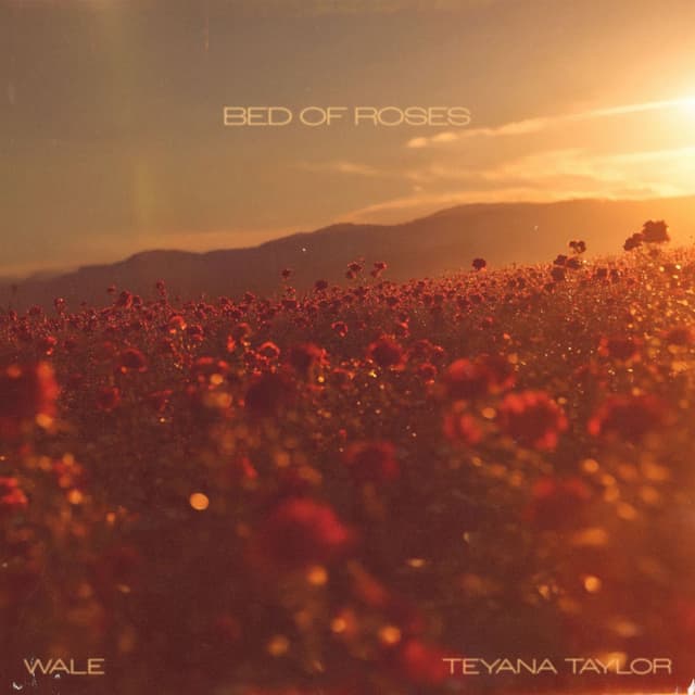 Bed of Roses