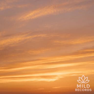 Gentle Classical Piano for Stress Relief