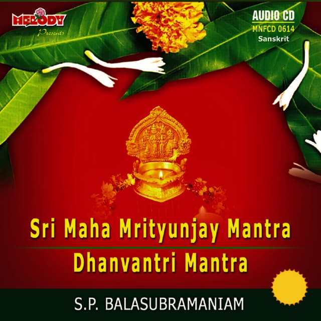 SRI MAHA MRITYUNJAY MANTRA / DHANVANTRI MANTRA ( DIVINE CHANTS )