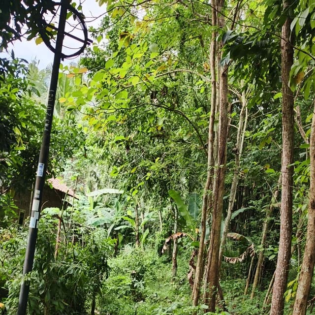 Haruskah ku bersabar