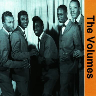The Volumes