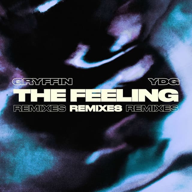The Feeling (Remixes)