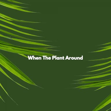 When The Plant Around
