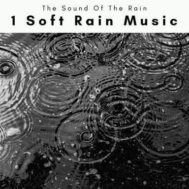 1 Soft Rain Music
