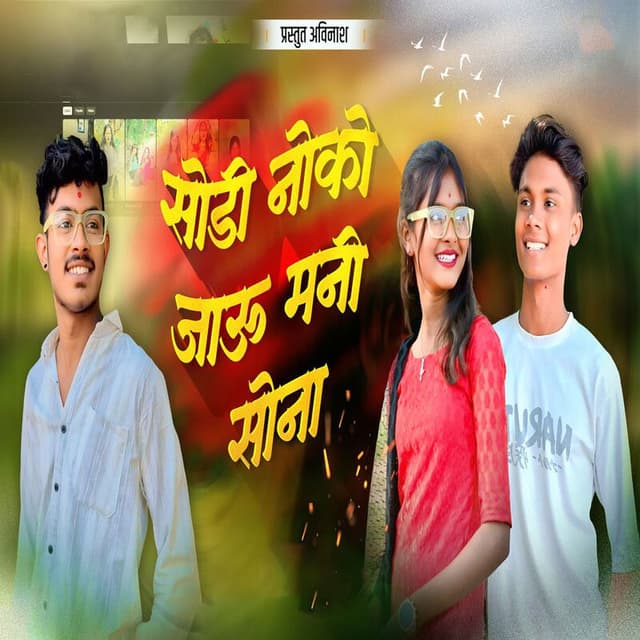 Sodi Noko Jau Mani Sona