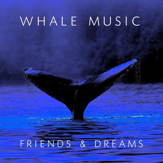 Whale Music - Friends and Dreams (Sleeping Aid, Einschlafhilfe, Aide-Sommeil)