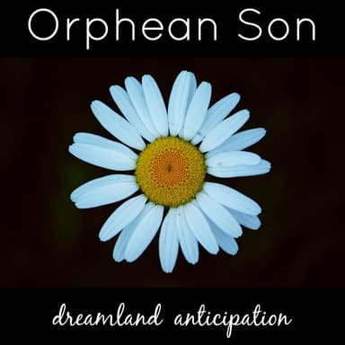 Dreamland Anticipation
