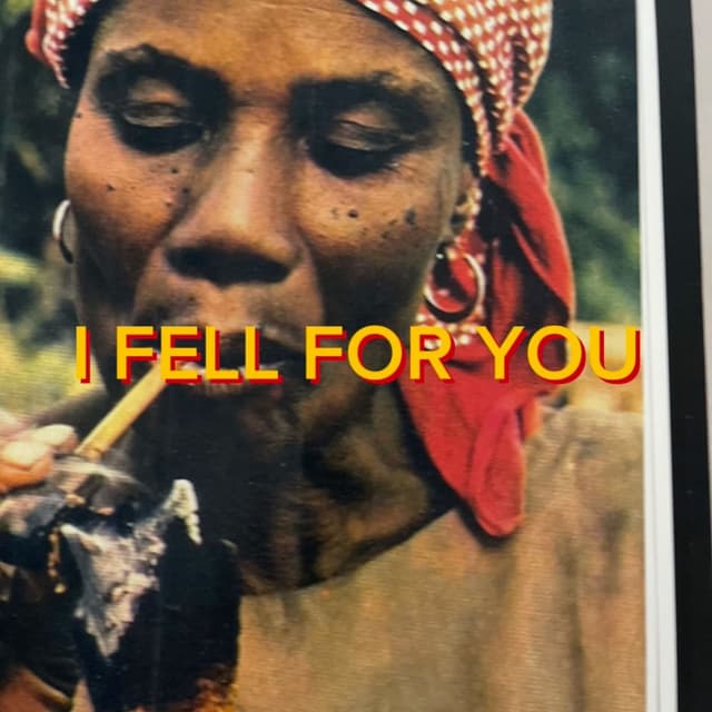 I Fell for You