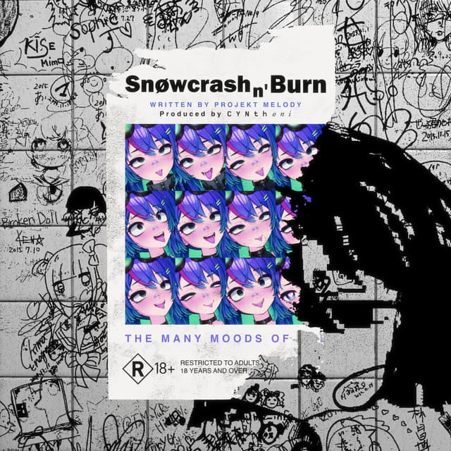 SNØWCR4SH N' BURN