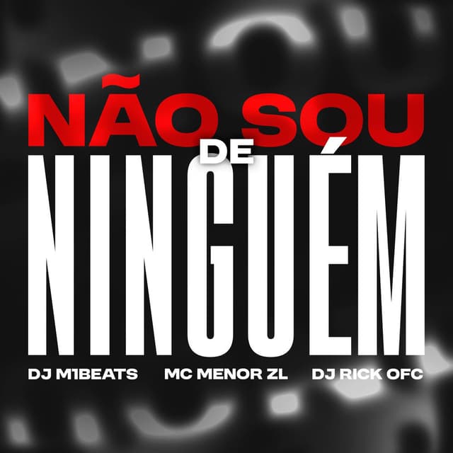 Não Sou de Ninguem
