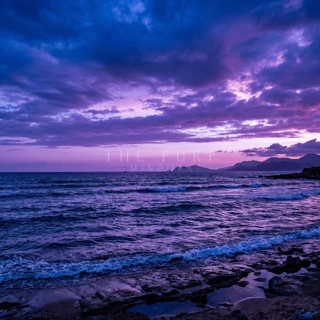 The Purp