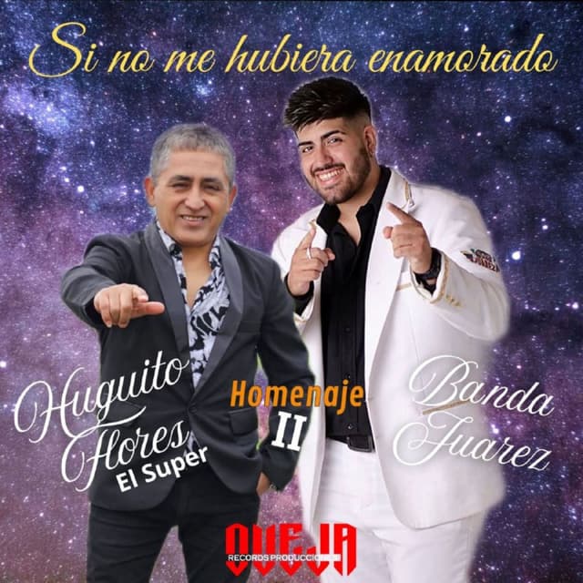 Si no me hubiera enamorado (Homenaje II)