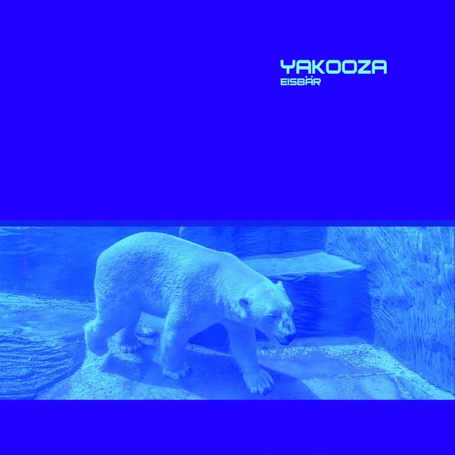 Eisbär