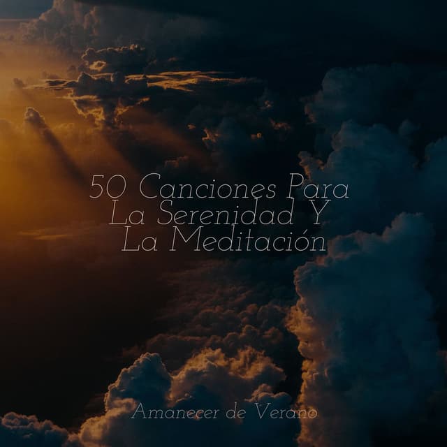 50 Canciones Para La Serenidad Y La Meditación
