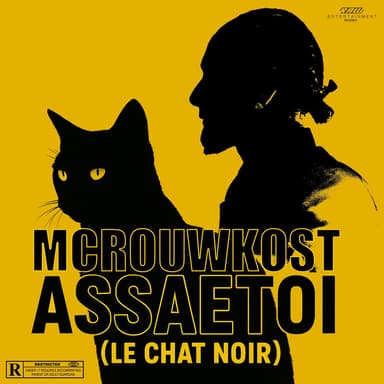 Assaetoi (Le Chat Noir)