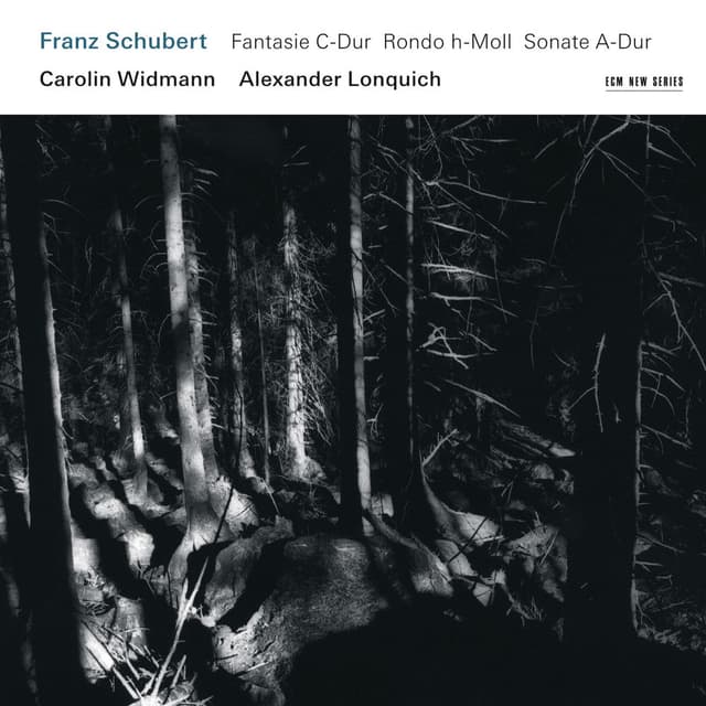 Schubert: Fantasie C-Dur / Rondo h-Moll / Sonate A-Dur