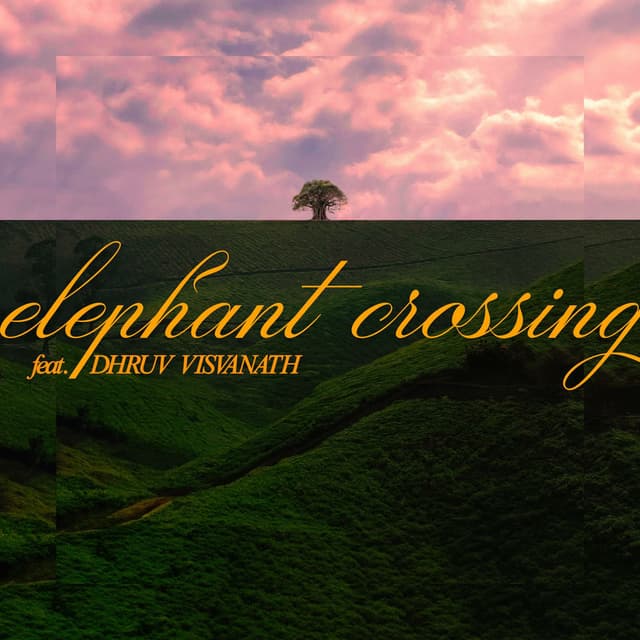 Elephant Crossing~ (A Late Afternoon Special)