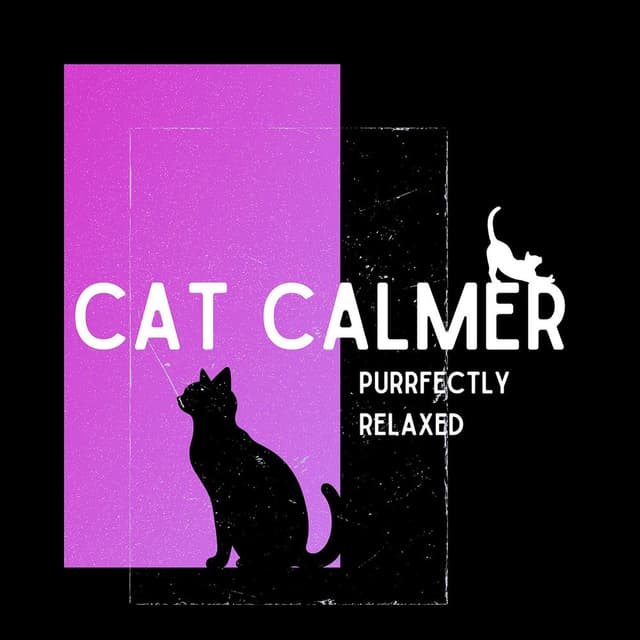 Purrfectly Relaxed: Achieving Cat Calm