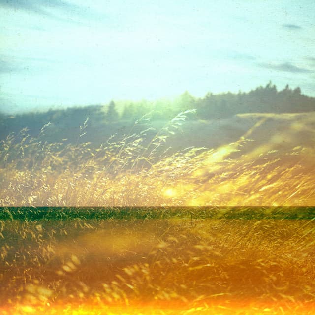 Whispering Winds
