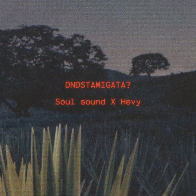 Dndstamigata?