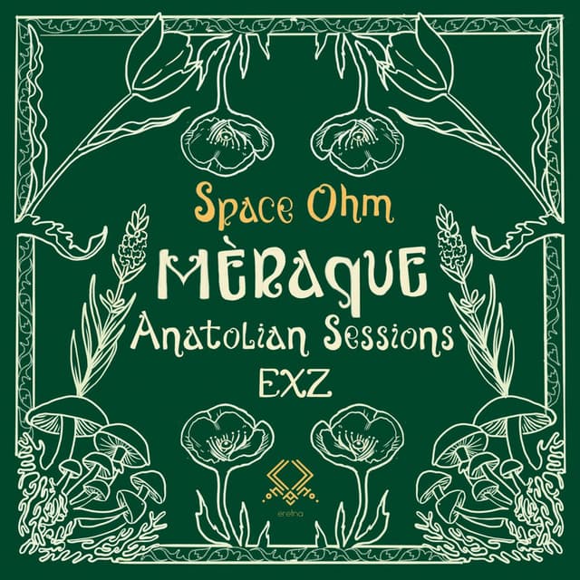Space Ohm