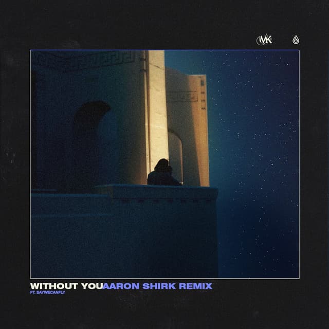Without You (Aaron Shirk Remix)