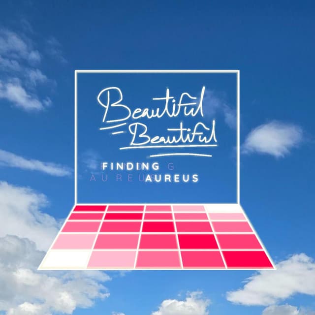 Beautiful Beautiful