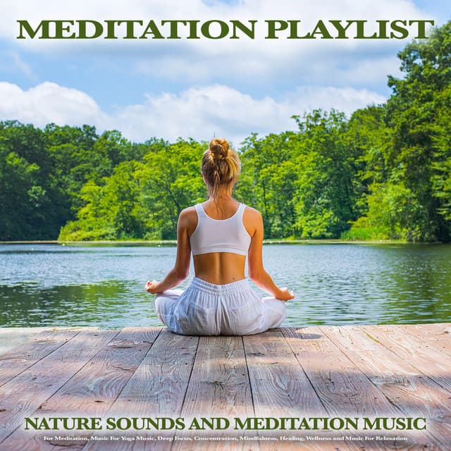 Meditation Playlist: Nature Sounds and Meditation Music For Meditation, Music For Yoga Music, Deep Focus, Concentration, Mindfulne