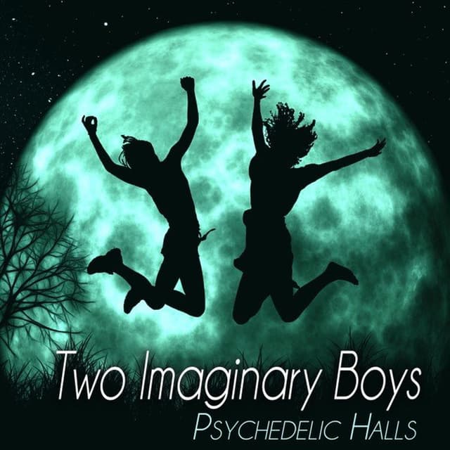 Two Imaginary Boys
