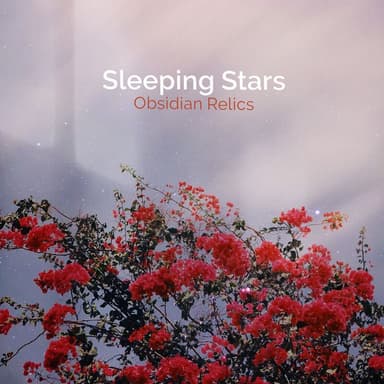 Sleeping Stars