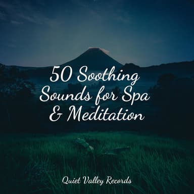 50 Soothing Sounds for Spa & Meditation