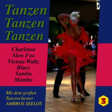 Tanzen Tanzen Tanzen Folge 3