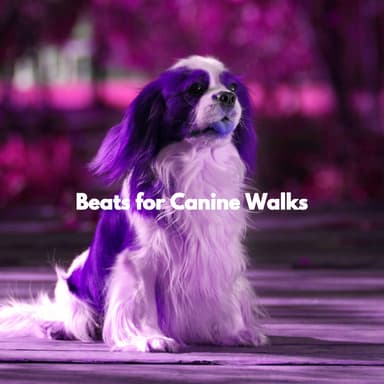 Beats for Canine Walks