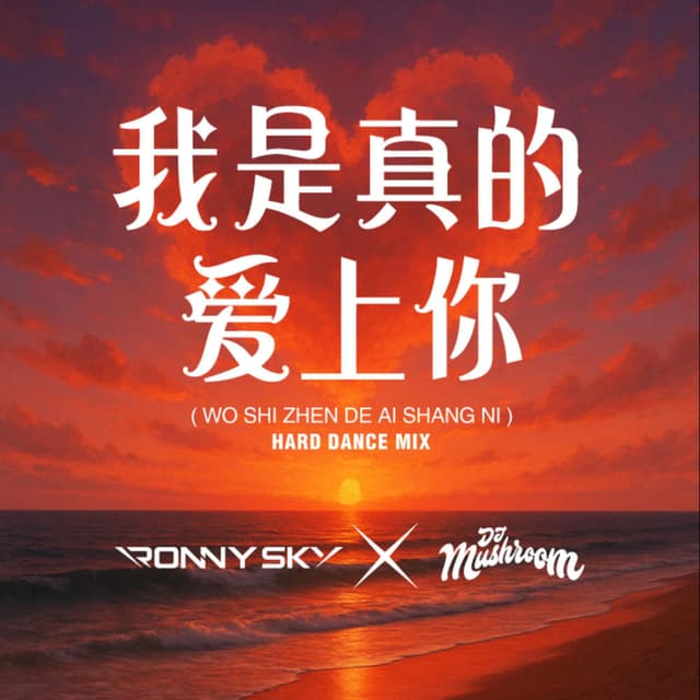 Wo Shi Zhen De Ai Shang Ni