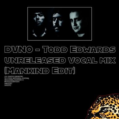 DVNO - Todd Edwards unreleased vocal edit