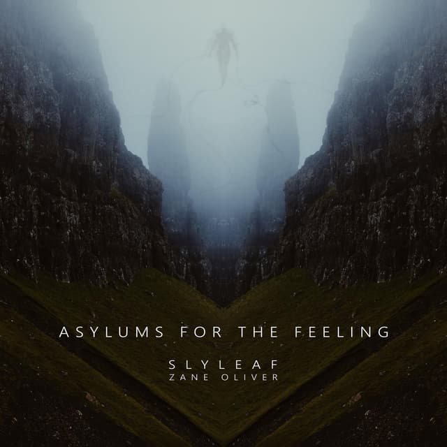 Asylums for the Feeling (feat. Zane Oliver)
