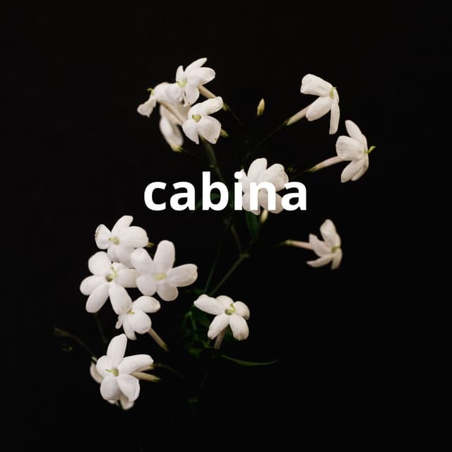cabina
