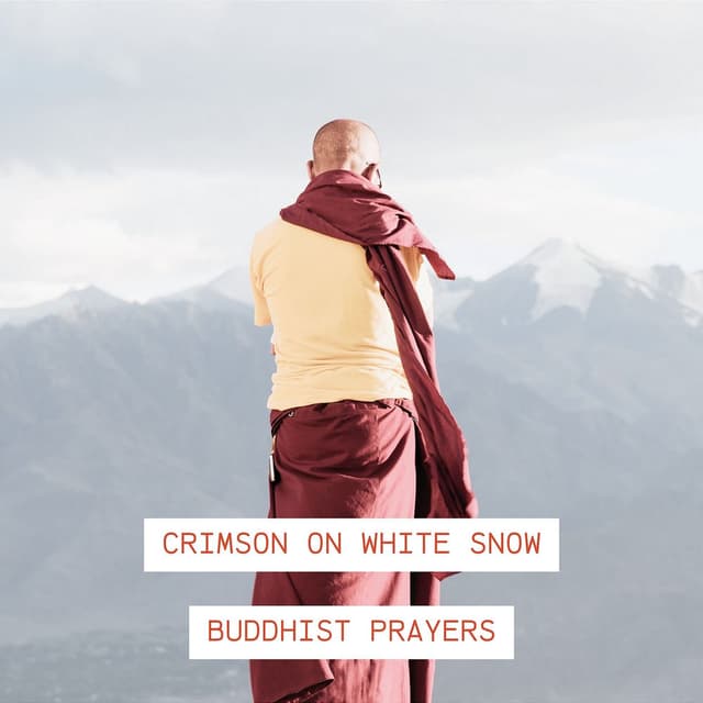 Crimson on White Snow
