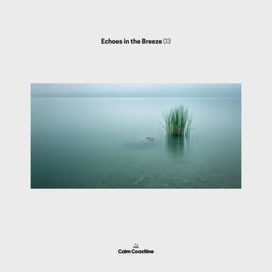 Echoes in the Breeze 03