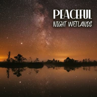 Peaceful Night Wetlands