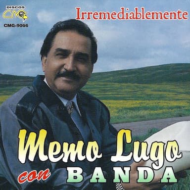 Irremediablemente