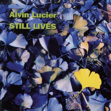 Still Lives