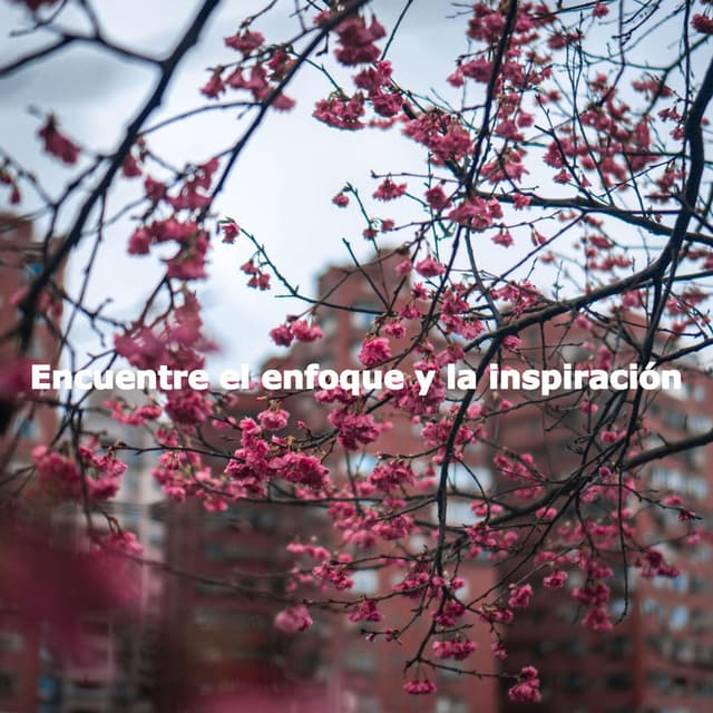 Encuentre el enfoque y la inspiración