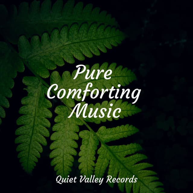 Pure Comforting Music