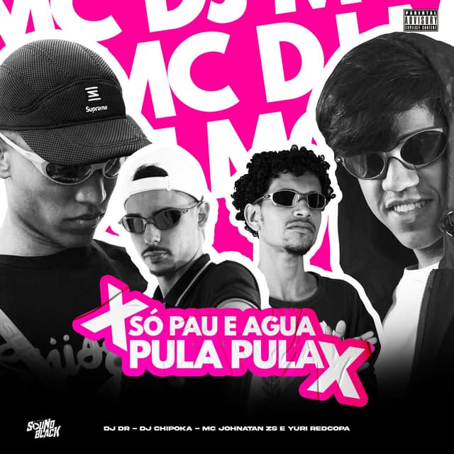 Só Pau e Agua X Pula Pula