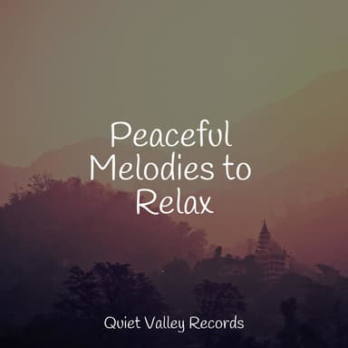 Peaceful Melodies to Relax