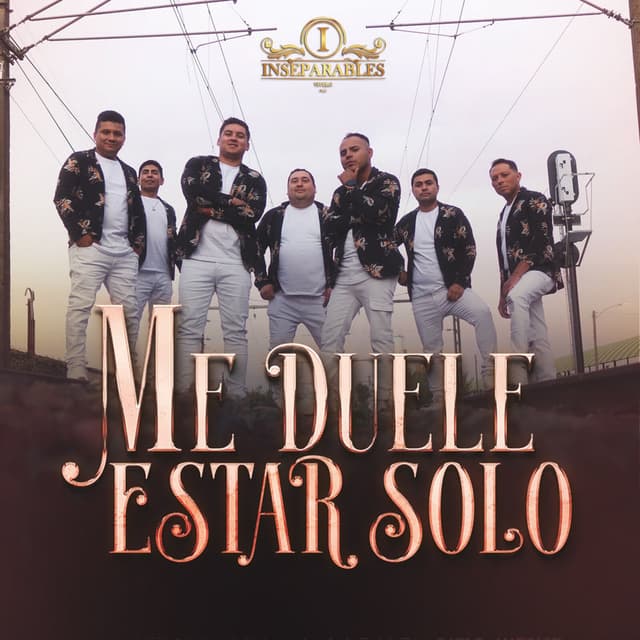 Me Duele Estar Solo