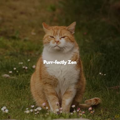 Purr-fectly Zen
